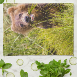 Grizzly unge, Alaska Kökshandduk