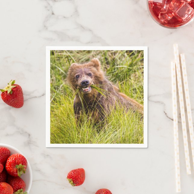 Grizzly unge, Alaska Pappersservett (Insitu)