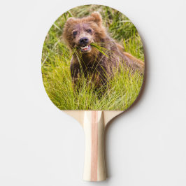 Grizzly unge, Alaska Pingisracket