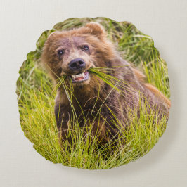 Grizzly unge, Alaska Rund Kudde