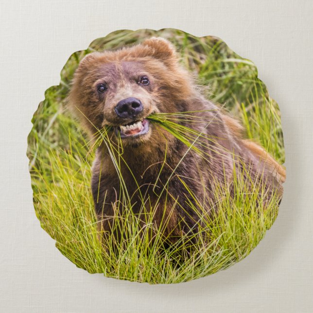 Grizzly unge, Alaska Rund Kudde (Framsidan)