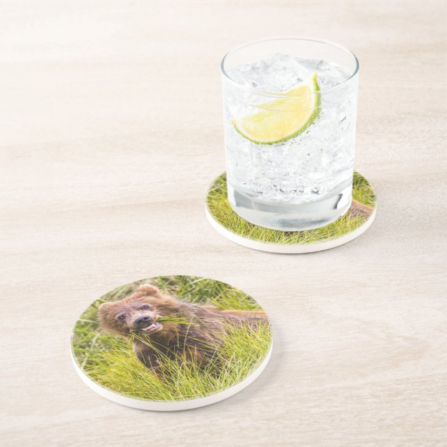 Grizzly unge, Alaska Underlägg (Sidan)