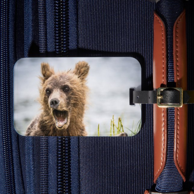 Grizzly Unge Tittar för Morsa Bagagebricka (Framsida Insitu 4)