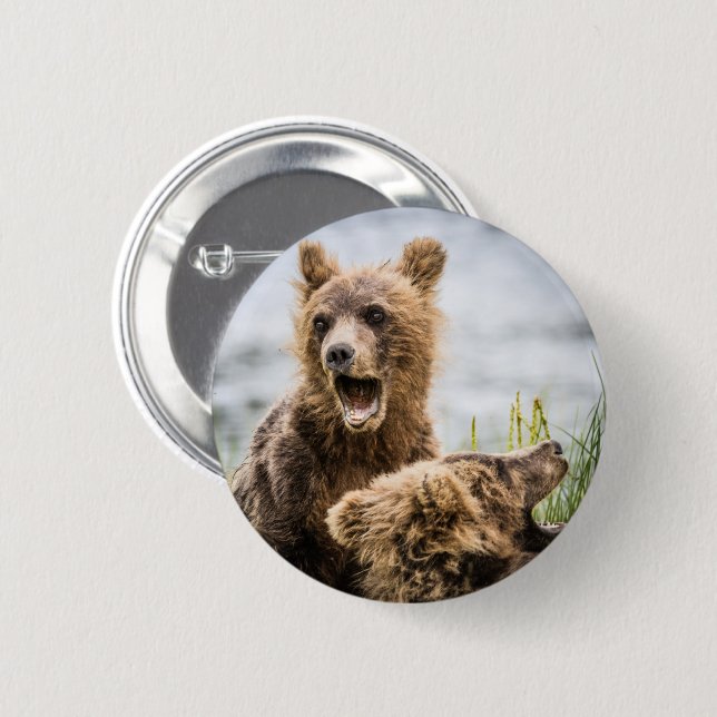 Grizzly Unge Tittar för Morsa Knapp (Framsida & baksida)