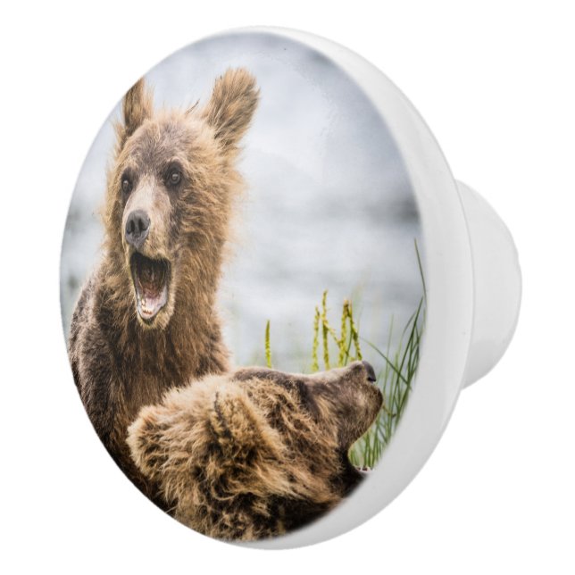 Grizzly Unge Tittar för Morsa Knopp (Höger)