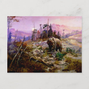 Grizzly Vykort