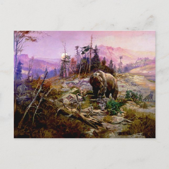 Grizzly Vykort (Framsida)