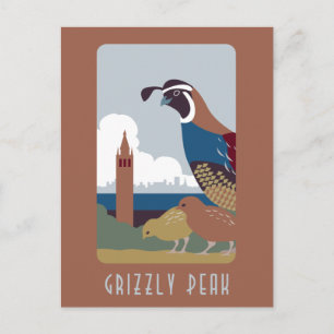Grizzly-vykort Vykort