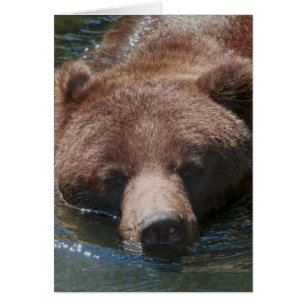 Grizzlybjörn Hälsningskort