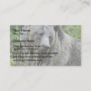 Grizzlybjörn i den Yellowstone nationalparken Visitkort