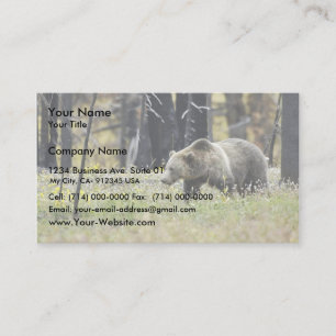 Grizzlybjörn i fält på den Yellowstone Visitkort