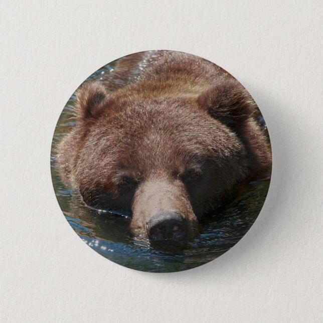 Grizzlybjörn Knapp (Framsida)