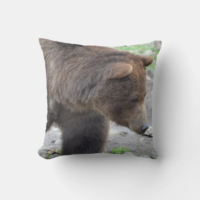 Grizzlybjörn Kudde (Framsida)