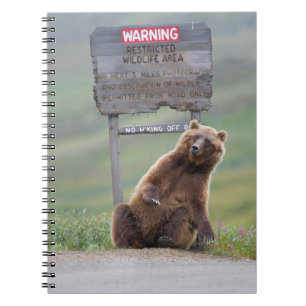 Grizzlybjörn leker med skylt anteckningsbok