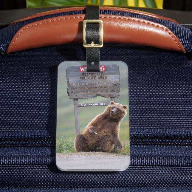 Grizzlybjörn leker med skylt bagagebricka (Framsida Insitu 2)