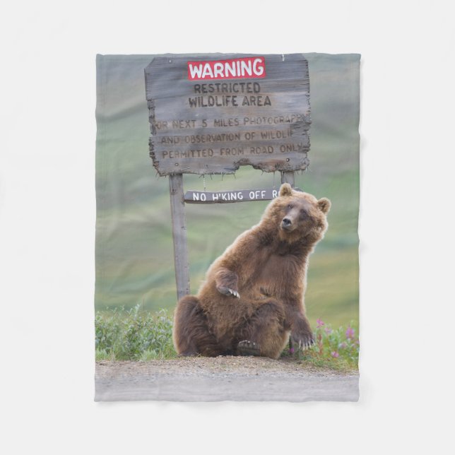 Grizzlybjörn leker med skylt fleecefilt (Framsidan)