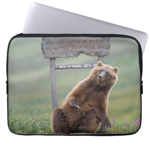 Grizzlybjörn leker med skylt laptop fodral