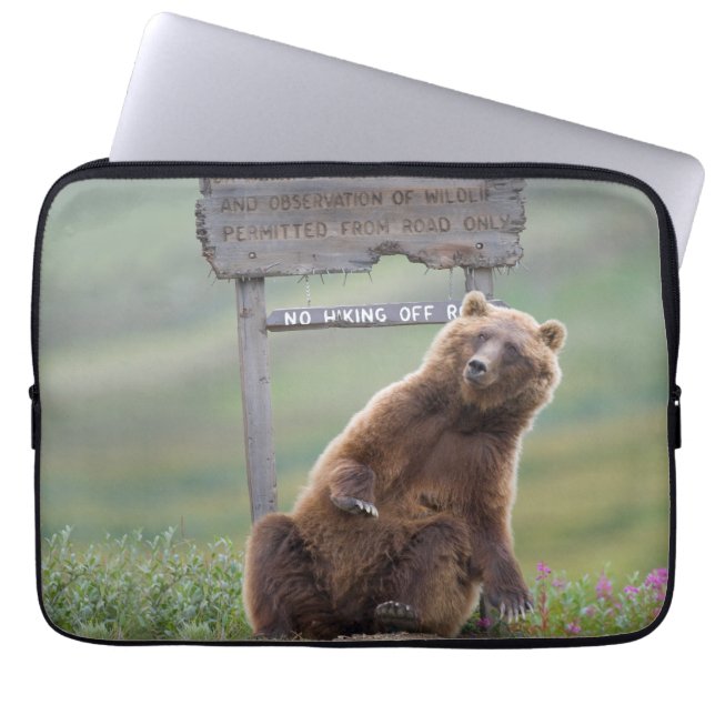Grizzlybjörn leker med skylt laptop fodral (Framsidan)