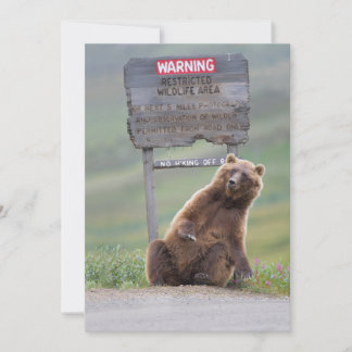 Grizzlybjörn leker med skylt tack kort