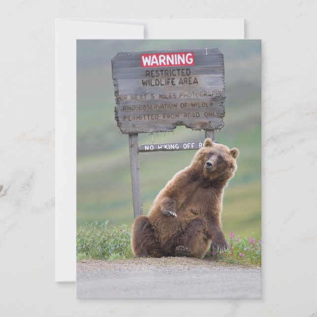 Grizzlybjörn leker med skylt tack kort (Framsida)