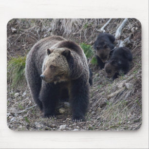 Grizzlybjörn med ungar Mousepad Musmatta