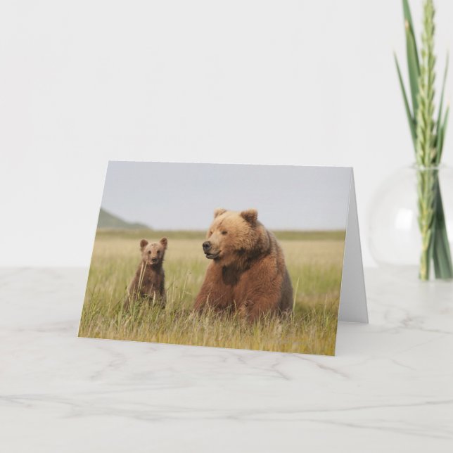 Grizzlybjörn med ungen kort (Framsida)