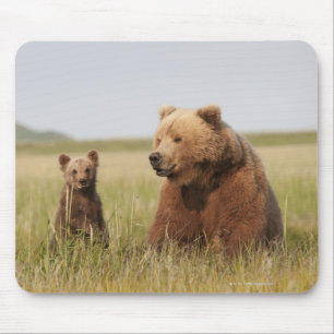 Grizzlybjörn med ungen musmatta