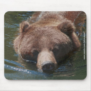 Grizzlybjörn Musmatta