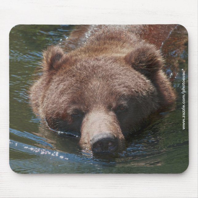 Grizzlybjörn Musmatta (Framsidan)
