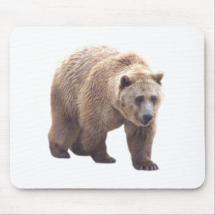 Grizzlybjörn Musmatta