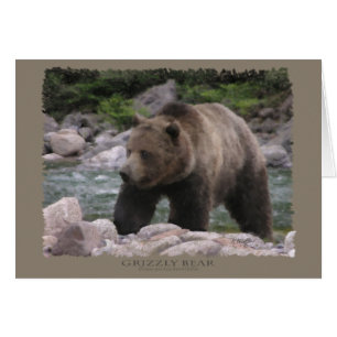 Grizzlybjörn - pastell hälsningskort