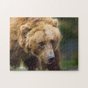 Grizzlybjörn Pussel