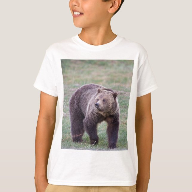 Grizzlybjörn Tee Shirt (Framsida)