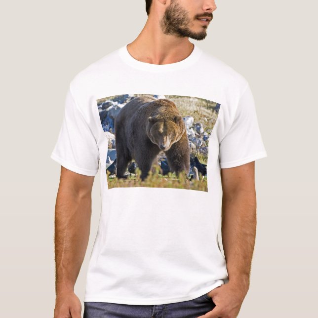 Grizzlybjörn Tröja (Framsida)