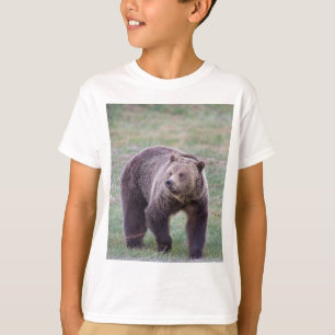 Grizzlybjörn Tröja
