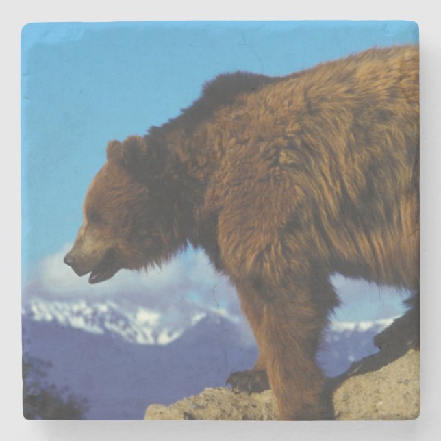 Grizzlybjörn Underlägg Sten (Framsidan)