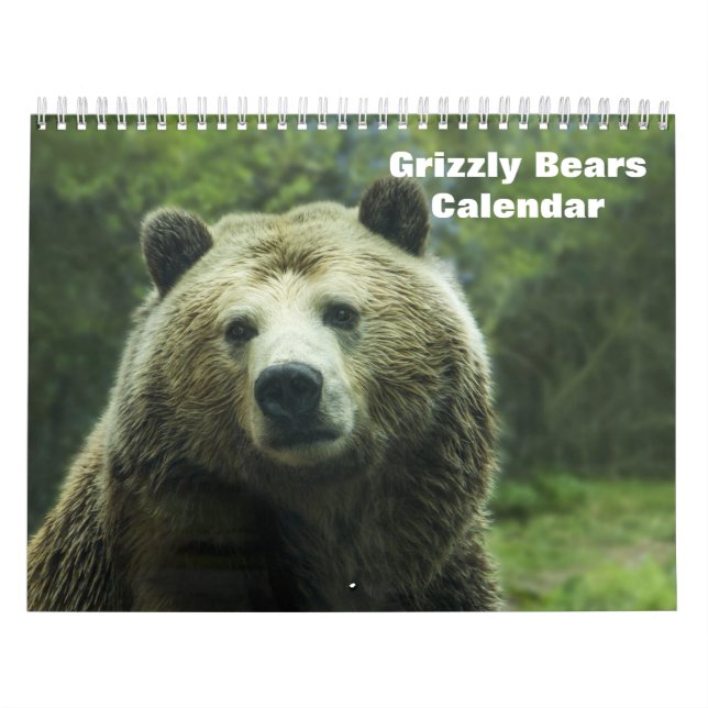 Grizzlybjörnar 2027 kalender (Omslag)