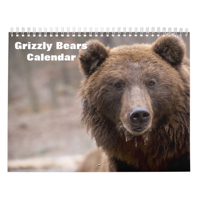 Grizzlybjörnar 2027 kalender (Omslag)