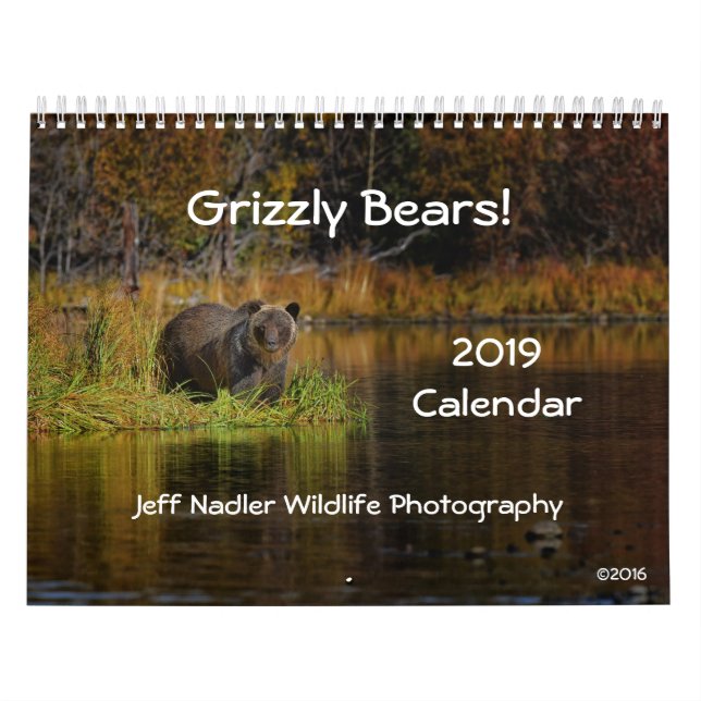 Grizzlybjörnar - väggkalender 2019 kalender (Omslag)