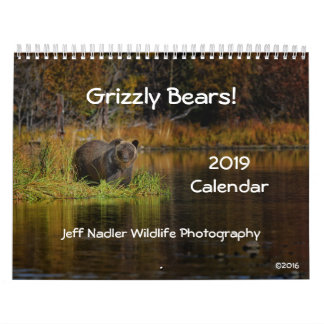 Grizzlybjörnar - väggkalender 2019 kalender