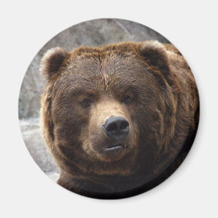 Grizzlybjörnmagnet Magnet