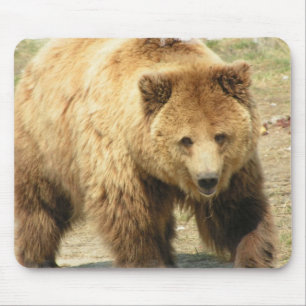 Grizzlybjörnmusen vadderar musmatta