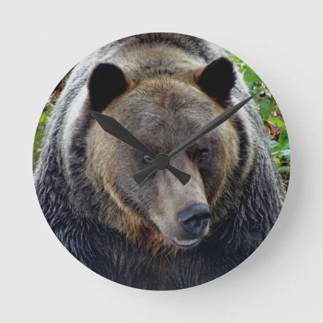 Grizzlybjörnnärbild Rund Klocka (Framsida)