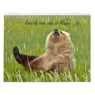 Grizzlybjörnungar av den Alaska kalendern Kalender