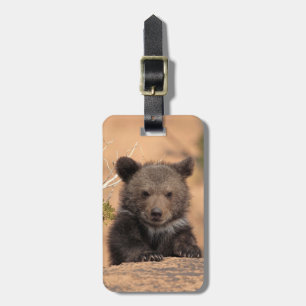 Grizzlybjörnunge Bagagebricka