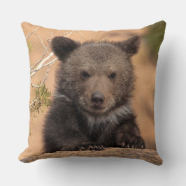 Grizzlybjörnunge Kudde