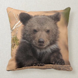 Grizzlybjörnunge Kudde