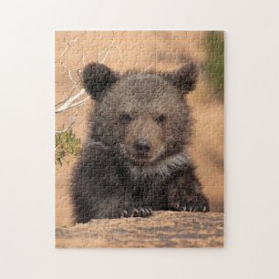 Grizzlybjörnunge Pussel