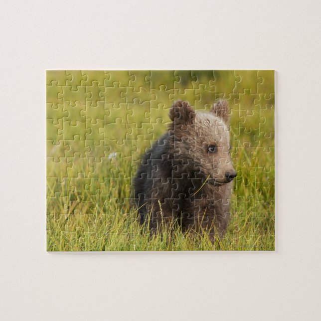 Grizzlybjörnunge Pussel (Horisontell)