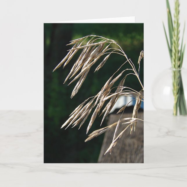 Grö Borta för utsäde Kort (Framsida)